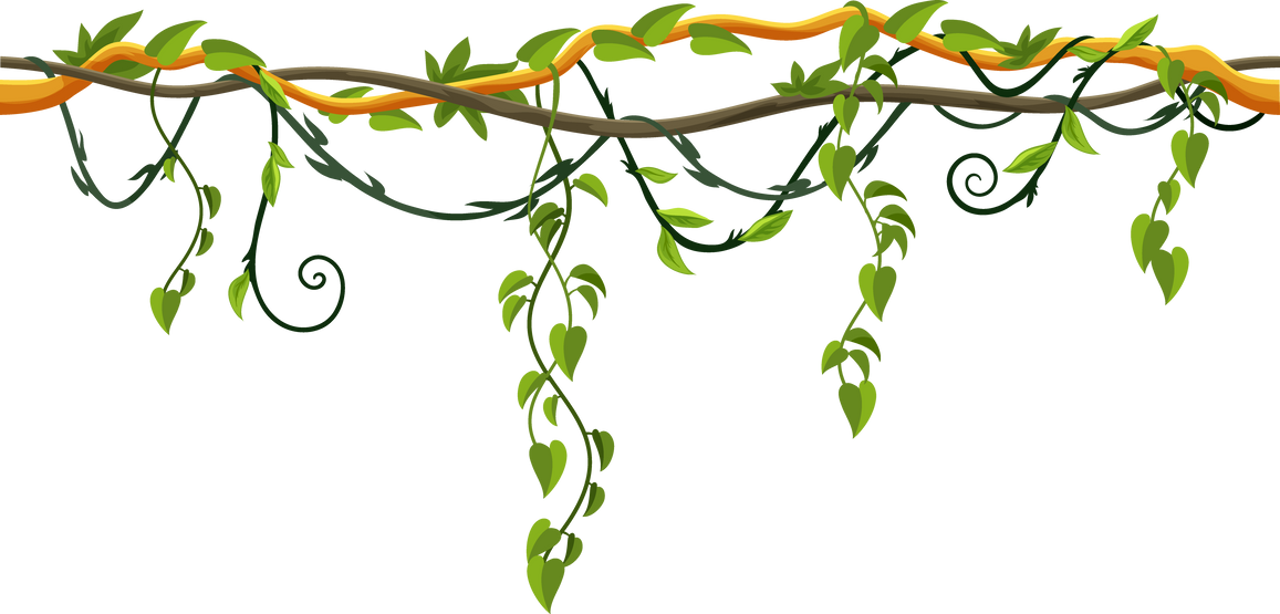 Cartoon jungle liana with hanging branch vines